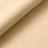 GN-SPK 597 béžová antibakteriální odolná koženka +0 Kč