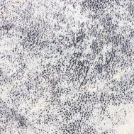 Mikrofáze G11 bílo černá