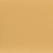 GINKGO Safranegelb 021