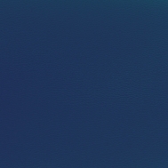 GINKGO Dunkelblau 011