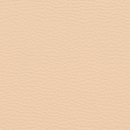 BR29 světle hnědá