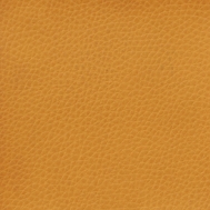 ZE04 zralé meruňky