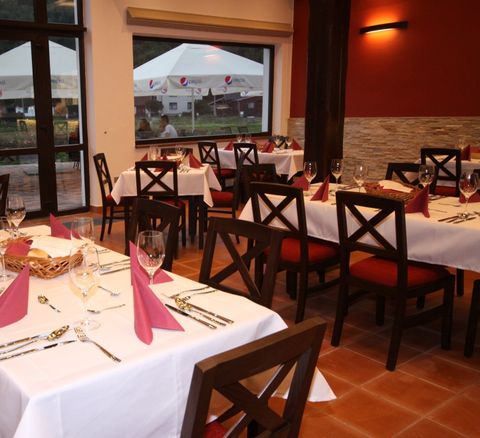 Dřevěné židle do restaurace Alex Dřevěné barové židle Alex