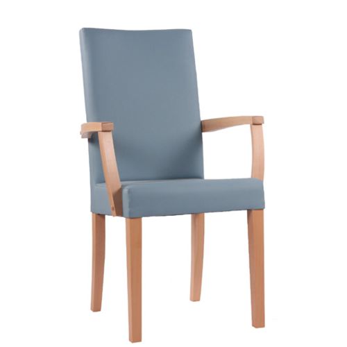 Čalouněná židle ELISA H ALE