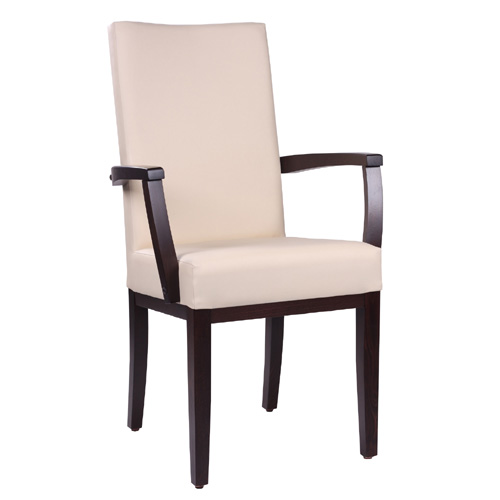 Čalouněná židle ELISA H ALE