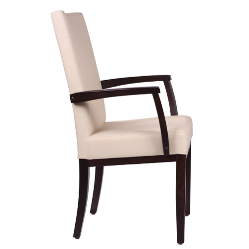 Čalouněná židle ELISA H ALE