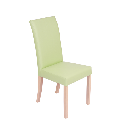 Čalouněná židle FALCO