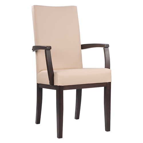 Čalouněná židle ELISA H ALE