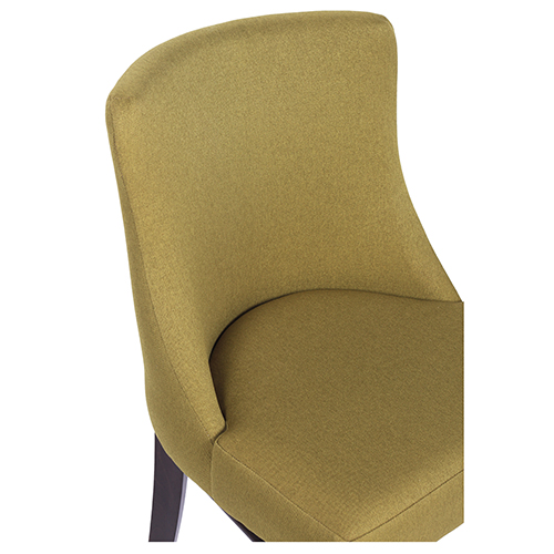 Čalouněná židle FRANCE