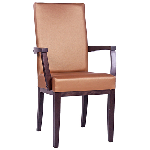 Čalouněná židle ELISA H ALE