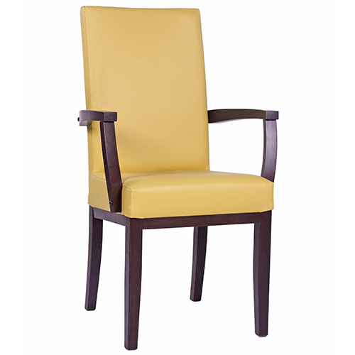 Čalouněná židle ELISA H ALE