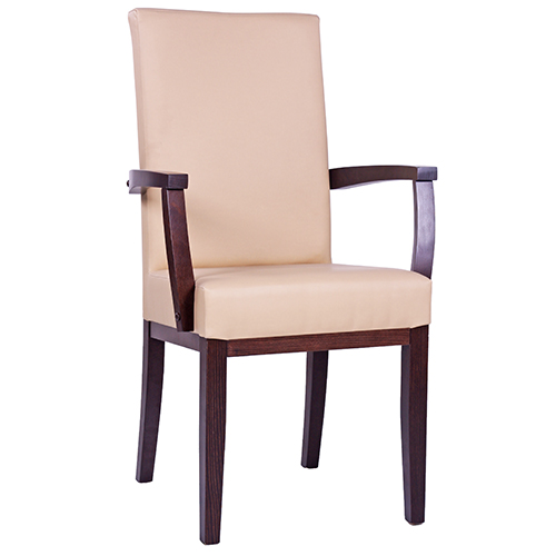 Čalouněná židle ELISA H ALE