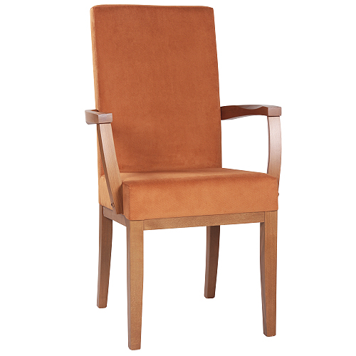 Čalouněná židle ELISA H ALE