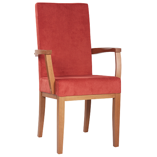 Čalouněná židle ELISA H ALE