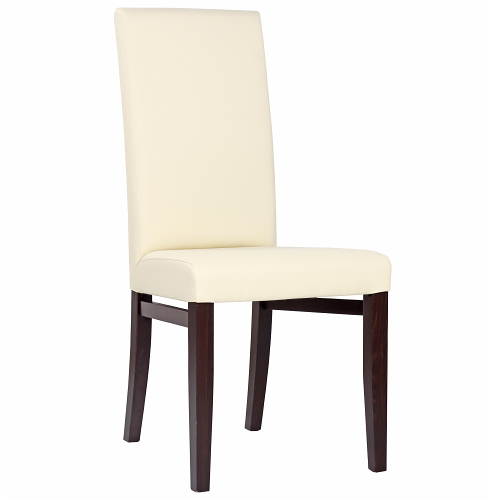 Čalouněné odolné židle RINA více barev čalounění