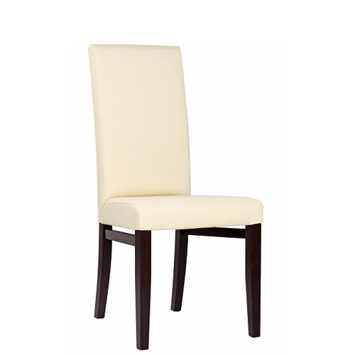 Čalouněné odolné židle RINA více barev čalounění