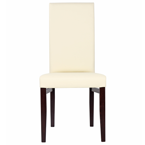 Čalouněné odolné židle RINA více barev čalounění