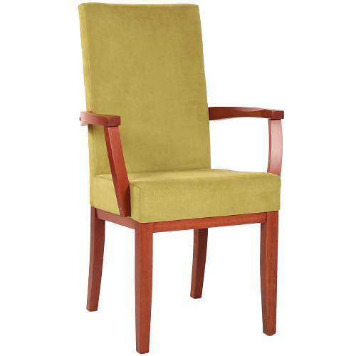 Čalouněná židle ELISA H ALE