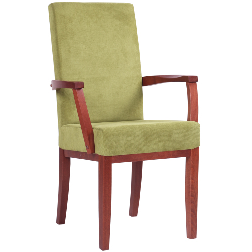 Čalouněná židle ELISA H ALE