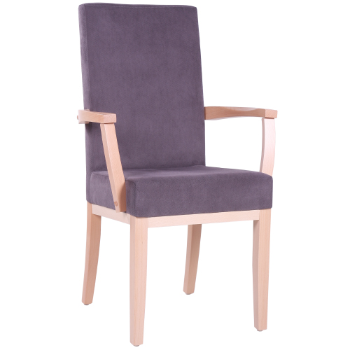 Čalouněná židle ELISA H ALE