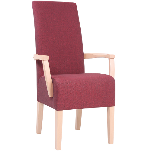 Dřevěná čalouněná židle MARCUS ALE