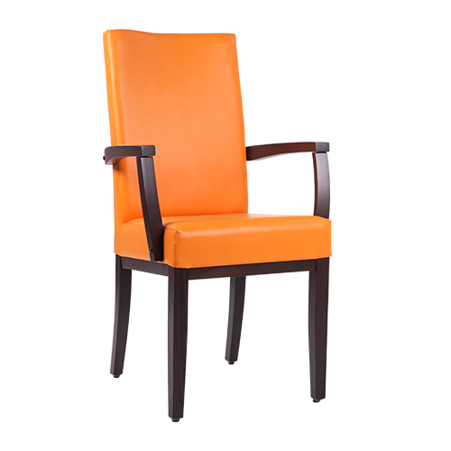 Čalouněná židle ELISA H ALE