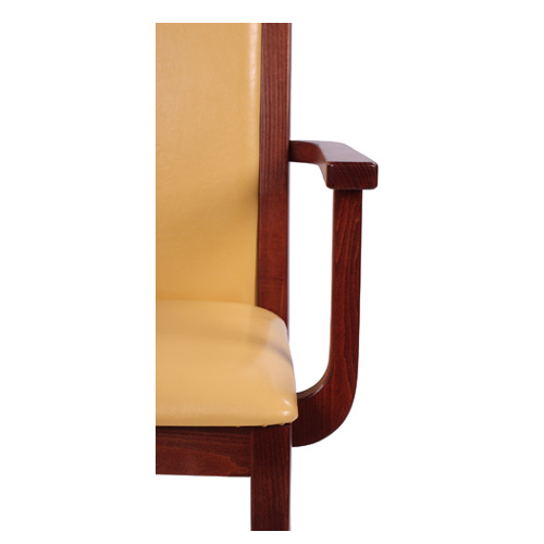 Dřevěná židle čalouněná HEROLD AL