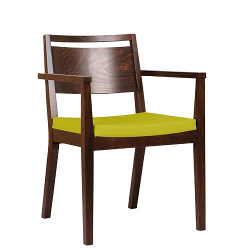 Židle čalouněná s područkou LUCAS P AL