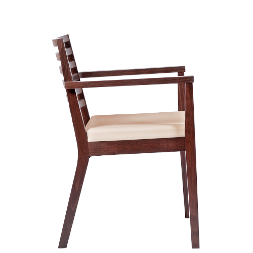 Židle čalouněná s područkou LUISA P AL