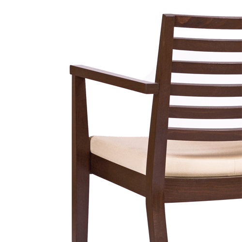 Židle čalouněná s područkou LUISA P AL