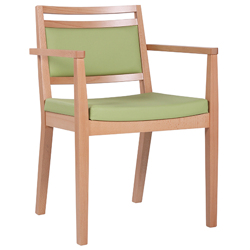 Dřevěná židle čalouněná s područkou LEANDRO P AL