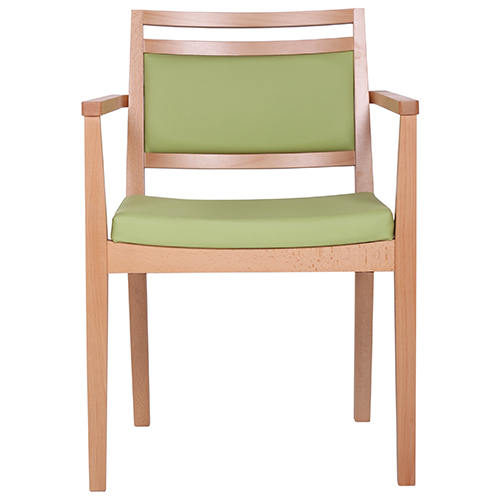 Dřevěná židle čalouněná s područkou LEANDRO P AL