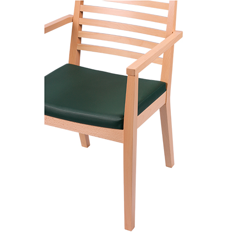 Židle čalouněná s područkou LUISA P AL