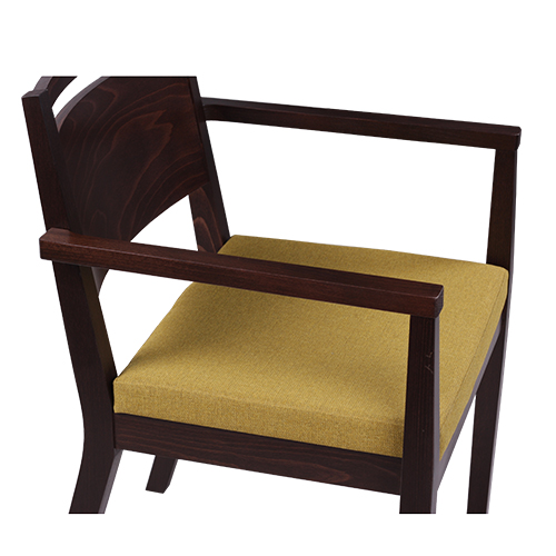 Židle čalouněná s područkou LUCAS P AL