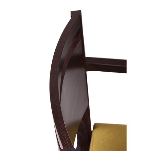 Židle čalouněná s područkou LUCAS P AL