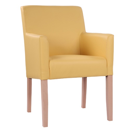 Čalouněné křeslo LAURA