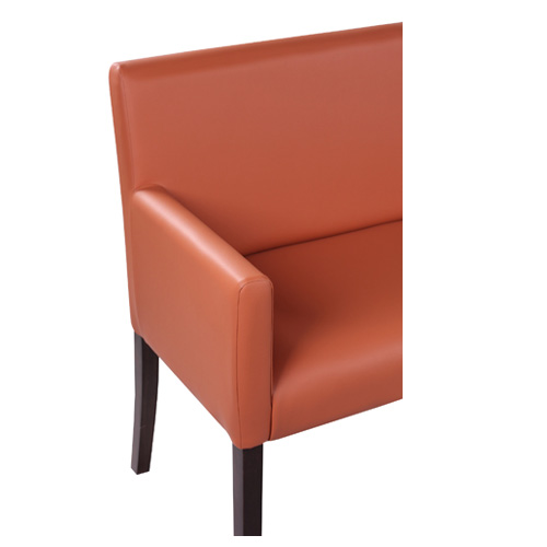 Čalouněné křeslo REGINA M DUO