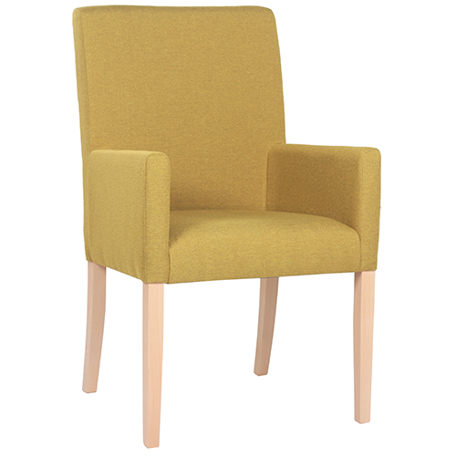 Hotelové křeslo REGINA H