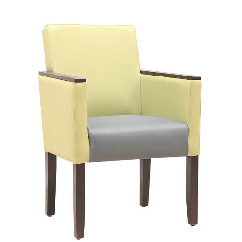 Čalouněné křeslo LILLE HA