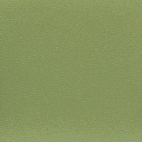 Koženka Ginkgo 20 oliva zelená